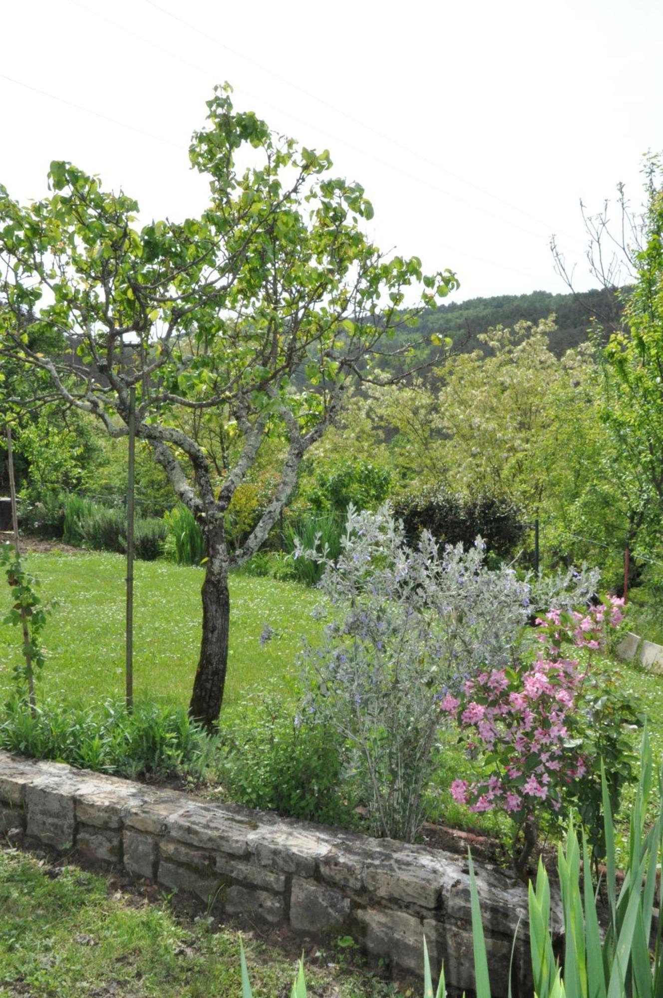 Guest House Most Buzet Exterior photo